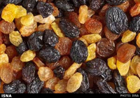 عضو شورای اسلامی  تیتکانلو: