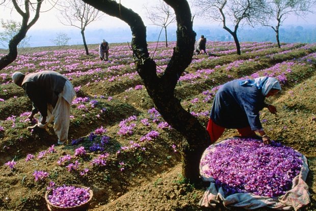 به دلیل کمبود اعتبار؛