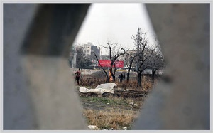 گزارش «دنیای اقتصاد» از پیامدهای ماجرای دنباله دار قطع درختان شهری؛