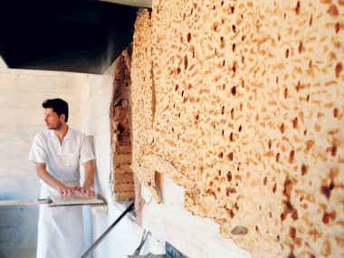 مدیر گروه صنایع غذایی دانشگاه فردوسی مشهد: