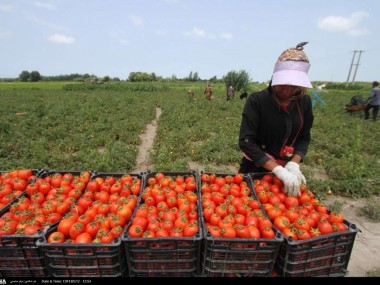 «دنیای اقتصاد» از مشکلات مهم‎ترین بخش اقتصاد گزارش می‎‏دهد؛
