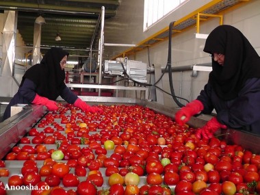 «دنیای اقتصاد» بررسی می‎کند؛