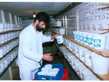 «دنیای اقتصاد» آثار فعالیت واحدهای لبنی غیرصنعتی را بررسی می‎کند؛