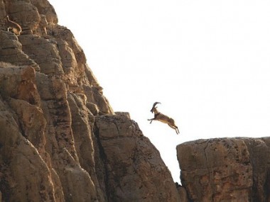 دنیای اقتصاد از ظرفیتهای خراسان رضوی برای درآمدزایی از محیط زیست گزارش می‌دهد