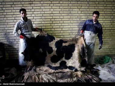 دنیای اقتصاد از وضعیت صنعت چرم در خراسان رضوی گزارش می‌دهد
