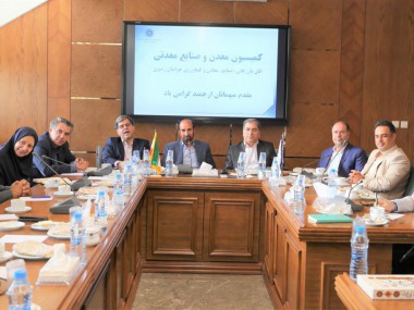 دنیای اقتصاد سازوکار و اهداف فعالیت کمیسیونهای اتاق را بررسی کرد