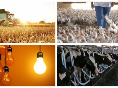 مشکلات برقی چه تاثیری بر واحدهای صنعتی و کشاورزی گذاشته است؟