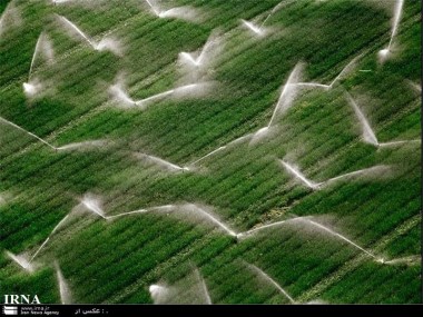 روش‌های نوین آبیاری، کاهش 14درصدی مصرف آب در کشاورزی خراسان رضوی را به دنبال داشته است