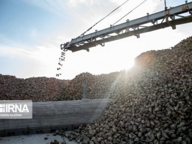 تعامل با افغانستان در قالب کشت فراسرزمینی، راه تامین غذا در دوره خشکسالی است