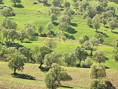 «دنیای اقتصاد» به بهانه روز جهانی گرافیک بررسی می‌کند: