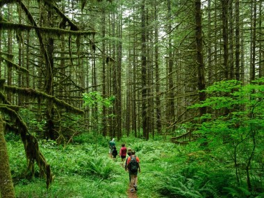 در گفت‎وگوی «دنیای اقتصاد» با کارشناسان مطرح شد؛